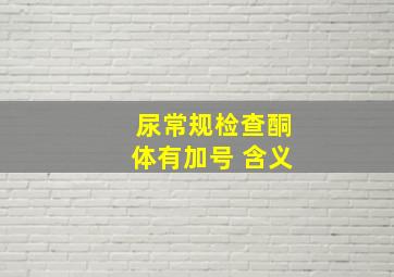 尿常规检查酮体有加号 含义